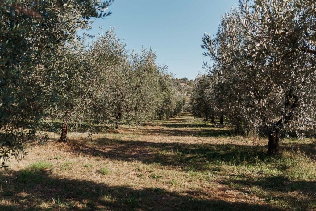 azienda_gallery-1