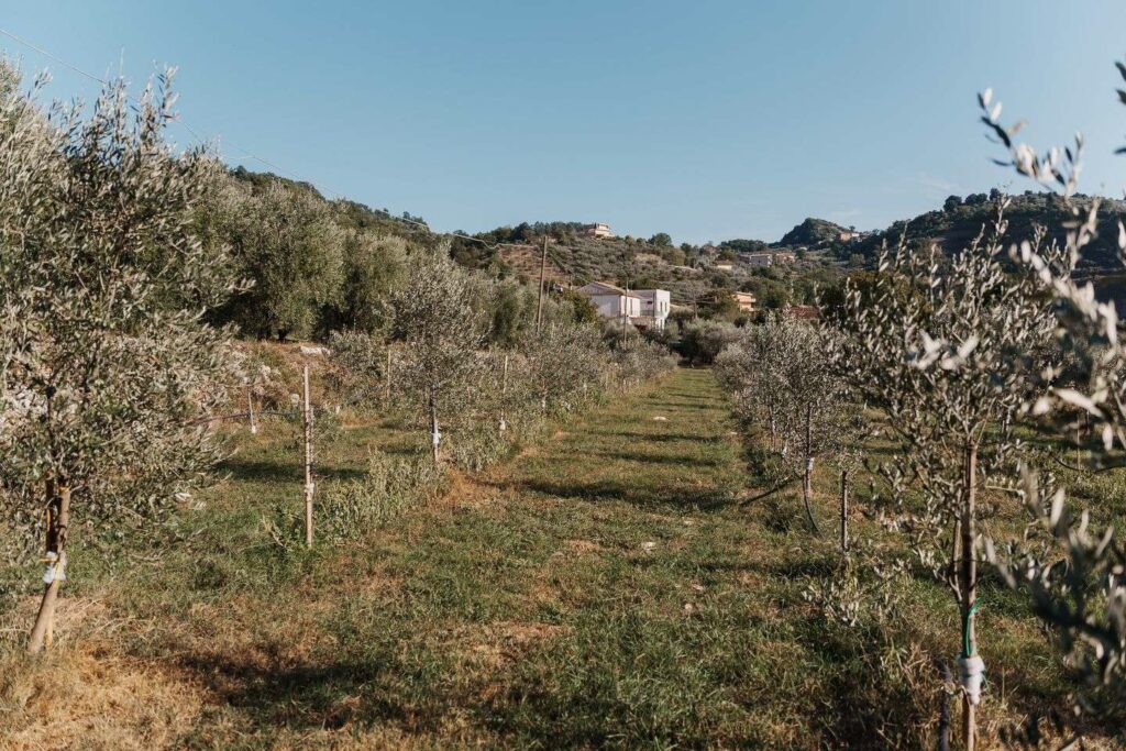 azienda_gallery-2