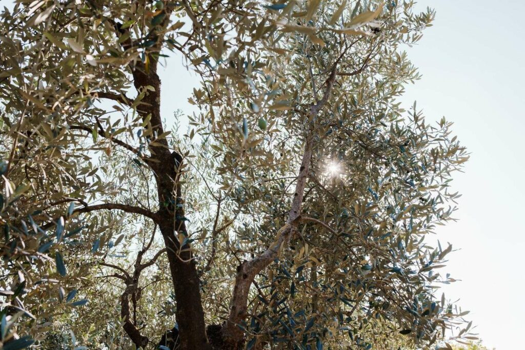 azienda_gallery-3
