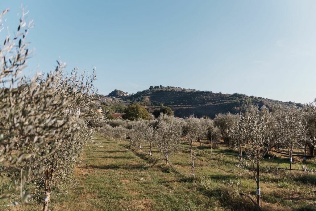 azienda_gallery-5